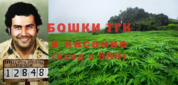 PSILOCYBIN Алексеевка