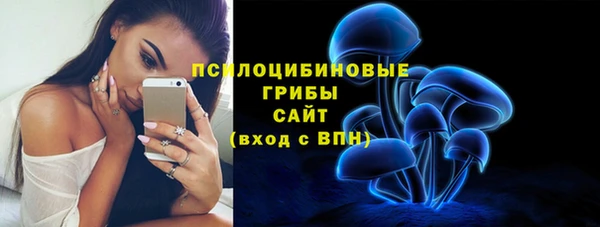дмт Алзамай
