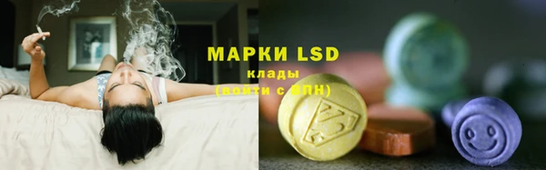 PSILOCYBIN Алексеевка