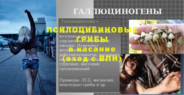 PSILOCYBIN Алексеевка