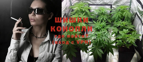 дмт Алзамай