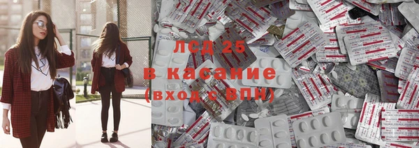 PSILOCYBIN Алексеевка