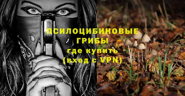 экстази Алексин